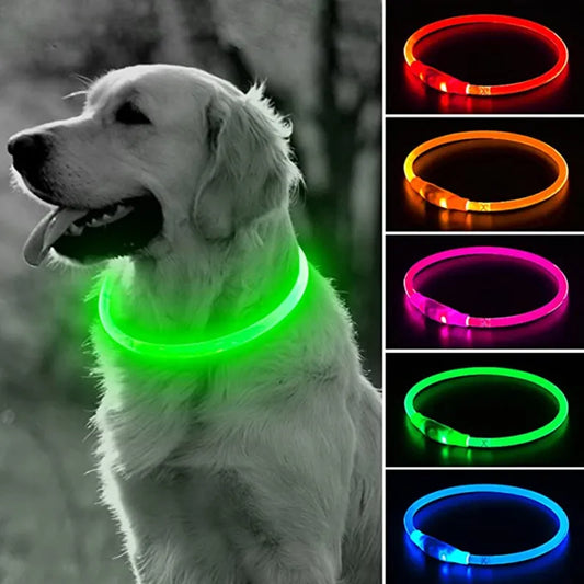 LED Halsband für Hunde und Katzen