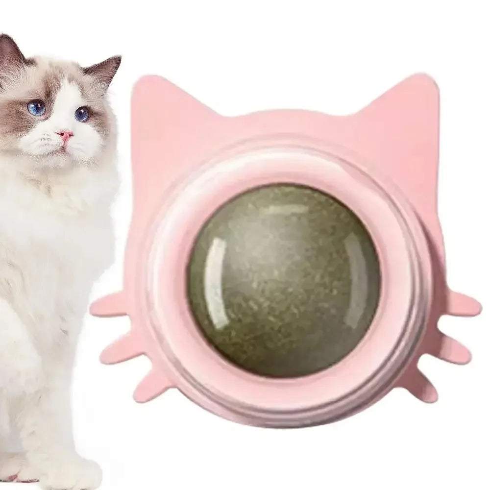 Catnip - die Katzenminze