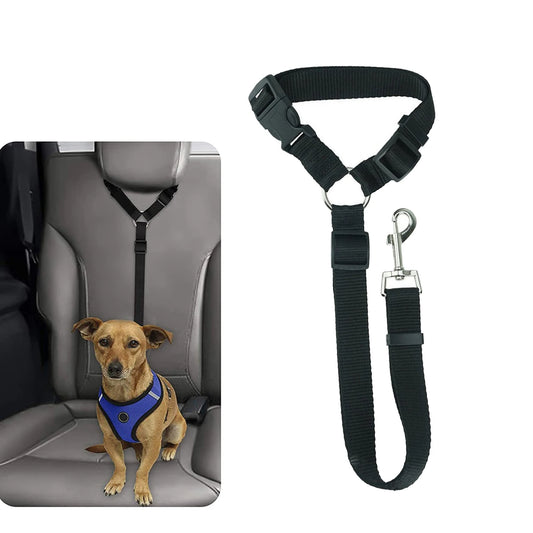 SafePet