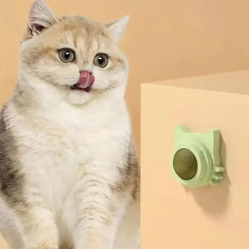 Catnip - die Katzenminze