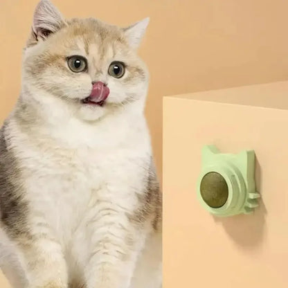 Catnip - die Katzenminze
